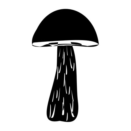 Suillus mushroom in outline style. Edible Organic mushrooms. Truffle brown cap. Forest wild mushrooms types. Vector illustration isolated on white background.のイラスト素材