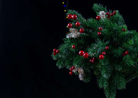 christmas composition with spruce branchesの写真素材