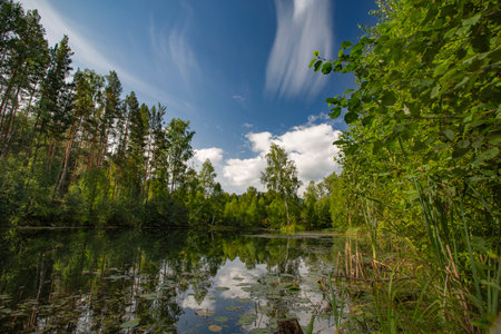 beautiful summer landscape with forest lake and clouds in the blue skyの写真素材