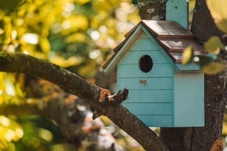 Wooden blue bird house on a tree in a farm park zone. Simple birdhouse design. Shelter for bird...