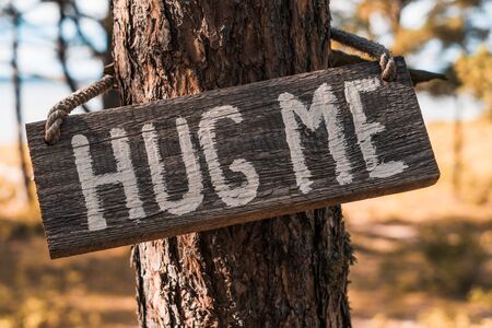 A wooden motivating tablet on an old pine tree in an autumn park says âHug meâ. Can be used as an illustration or marketing concept. Unity with nature
の写真素材
