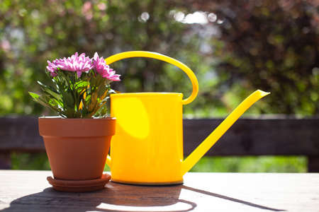 Close up of Gardening tools on the wooden table. Village view. Landscape. Still life. Flower in a pot and watering can.の写真素材