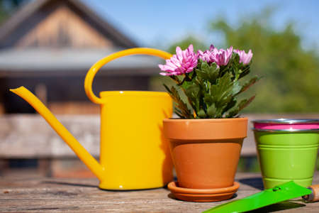 Close up of Gardening tools on the wooden table. Village view. Landscape. Still life. Flower in a pot and watering can.の写真素材
