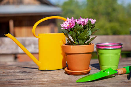 Close up of Gardening tools on the wooden table. Village view. Landscape. Still life. Flower in a pot and watering can.の写真素材