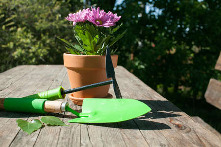 Close up of Gardening tools on the wooden table. Village view. Landscape. Still life. Flower in a pot and watering can.の写真素材