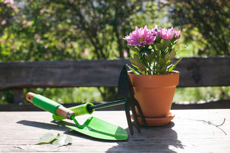 Close up of Gardening tools on the wooden table. Village view. Landscape. Still life. Flower in a pot and watering can.の写真素材