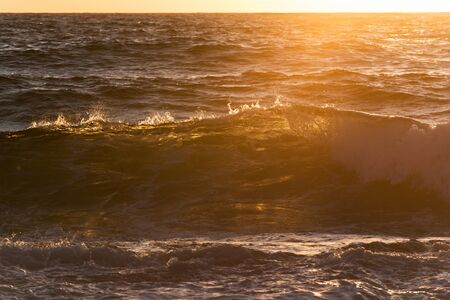 Big transparent ocean waves during sunrise with back light and green color