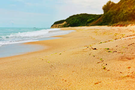 Wild beach in Bulgaria covered by seaweed with light leakの写真素材