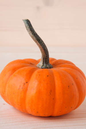 Miniature Pumpkinsの写真素材