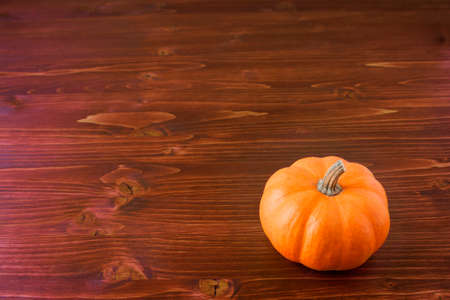 Miniature Pumpkinsの写真素材