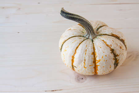 Miniature Pumpkinsの写真素材