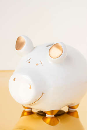 White and Gold Piggy Bankの写真素材