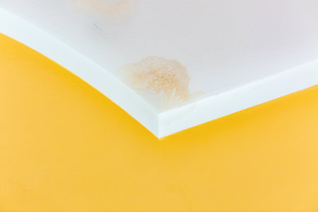 Mold and smudges on the ceiling of a new house with yellow walls. The concept of repair and renovation.の写真素材