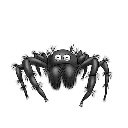 scary black fluffy spider with eyesの写真素材