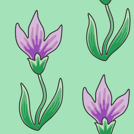 seamless texture with a flower pattern with pink-purple long petals on a green backgroundの写真素材