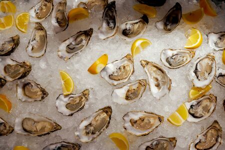 Cooled oysters refrigerated on ice with lemonの写真素材