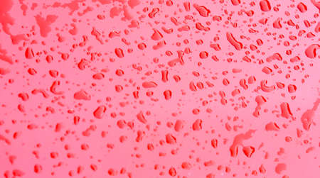 rain water drops on the red surface, on the cars coating