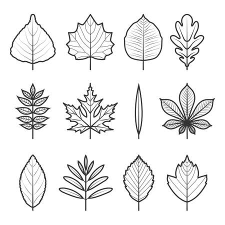 Icons tree leavesのイラスト素材