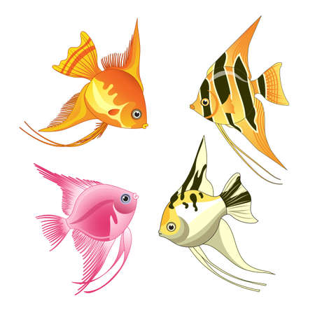 angelfish fish iconsのイラスト素材