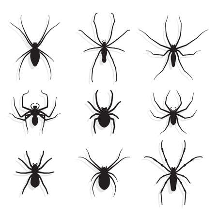 Icons set. Silhouettes of spiders with shadow.のイラスト素材