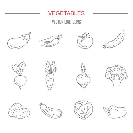 Icons of vegetables. Cooking and healthy eating. Vector illustration.のイラスト素材