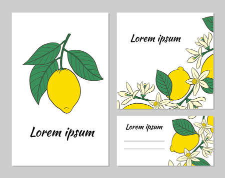 Flyers and business cards with lemon. Vector illustration.のイラスト素材
