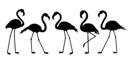 Flamingo silhouette. Set of flat elements. Vector illustration.のイラスト素材