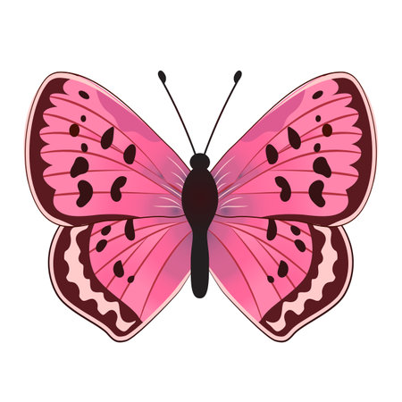 Variegated butterfly, suitable for sticker or icon. Detailed vector illustration. Isolated on a white background.のイラスト素材