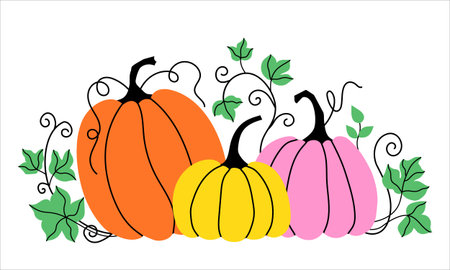 Colorful autumn pumpkins with leaves. Harvest design for a card or poster. Vector illustration on a white background.のイラスト素材