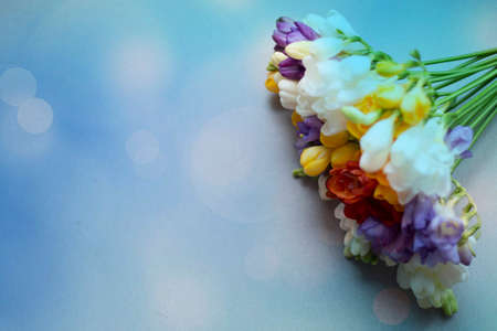 A bouquet of flowers in the upper right corner of the banner. Tinted in a fashionable color. Horizontal photo. With space for text. Concept: March 8, birthday, holiday.の写真素材