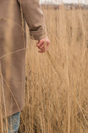 Womans hand with beautiful manicure stroking pampas fluffy grass or reeds bush in field outdoors. Girl loves nature. Close up view. Slow motion.の写真素材