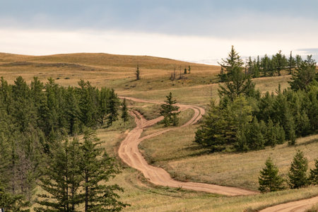 Steppe expanses on the island of Olkhon. A sunny, summer day. Travel, tourism, domestic tourism. Cover, wallpaper, background, screensaver. High quality photoの写真素材