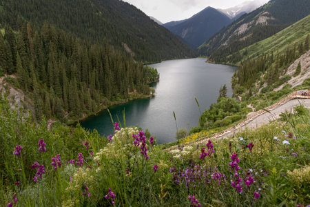 Kolsai high-altitude lake in the Tien Shan mountain system, Kazakhstan. A summer day. Travel, tourism, vacation, outdoor recreation. High quality photoの写真素材