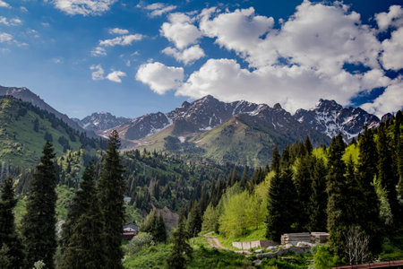 The fEco-trail on Medeo overlooking the Tien Shan Mountains, Kazakhstan, Almaty. Summer, sunny. High quality photoの写真素材