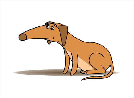 Dog. Red-haired Dachshund With a Long Nose. Funny Dachshund Sitting. Vector Image Isolated on white background.のイラスト素材