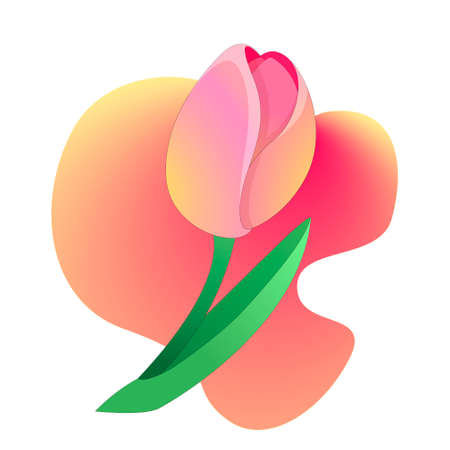 pink spring tulips with backgroundのイラスト素材