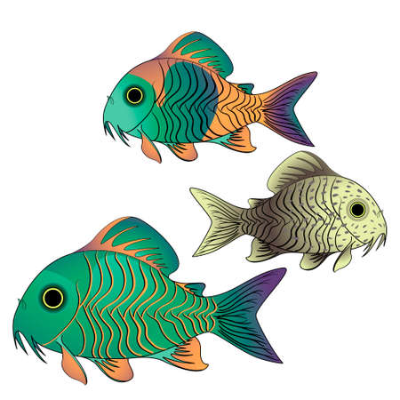 Aquarium fish tankfish Catfish corydorasのイラスト素材