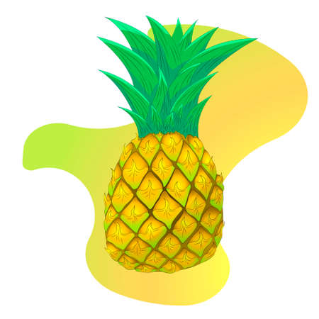 pineapple frut summer exoticのイラスト素材