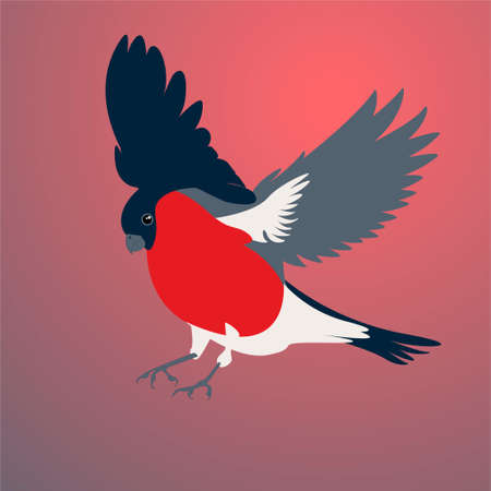 a bullfinch with a red breast sits on a gradient red-gray backgroundのイラスト素材