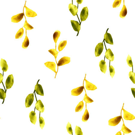 watercolor pattern with plant branchesの写真素材