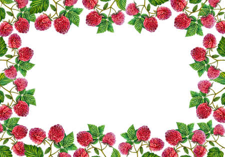 Raspberry. Frame with raspberry branches with berries and leaves. watercolor illustration. Isolated...