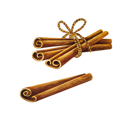 Cinnamon. Aromatic seasoning. Watercolor illustration. Isolate on white background. For design solutions.の写真素材
