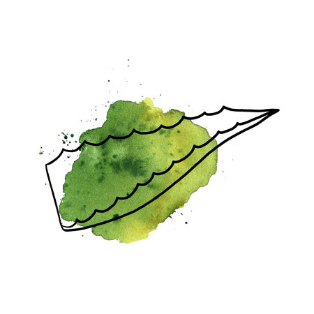 Aloe vera. Doodle and watercolor. For labels and packaging of cosmetology, perfumery and medicine.の写真素材