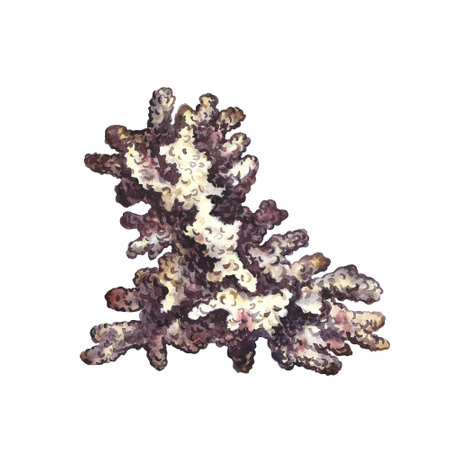 Coral frame. Undersea world. Watercolor hand drawn. Aquarium, tropical reef. Concept for label, business card and bannerの写真素材