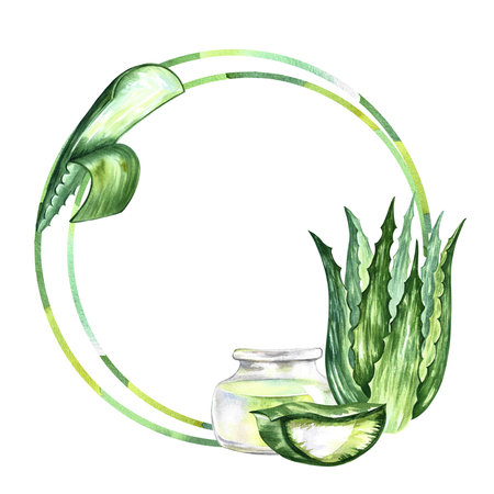 Aloe vera. Circle frame. Watercolor illustration. For labels and packaging of cosmetology, perfumery and medicine. Also for the food industry. For stickers and printsの写真素材