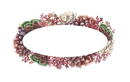 Oval coral frame. The underwater world. Hand-drawn watercolor painting. Aquarium, tropics, reefs. For labels, business cards and packaging, postcards and flyers, a template for lettering.の写真素材
