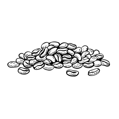 A handful of coffee beans, black and white vector illustration. For packaging, logos and labels. For banners, flyers, menus and posters.のイラスト素材