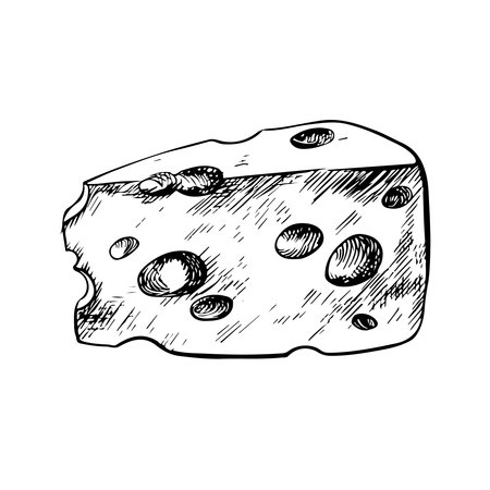 A piece of cheese. Vector graphics, black and white hand-drawn illustrations. Isolate on a white background. For packages and labels. For banners and posters. For restaurant and bar menus.のイラスト素材