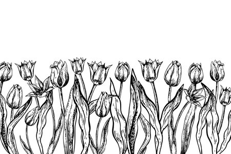 The border frame is made of tulips. A black and white vector graphic illustration made by hand. A postcard template on a white background. For packages, labels and flyers, posters and banners.のイラスト素材