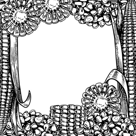 A frame with corn. Vector graphics depicting a frame of sliced corn cobs and a handful of grains. A black and white hand-drawn illustration. On a white background. Great for labels, menus, packaging,のイラスト素材